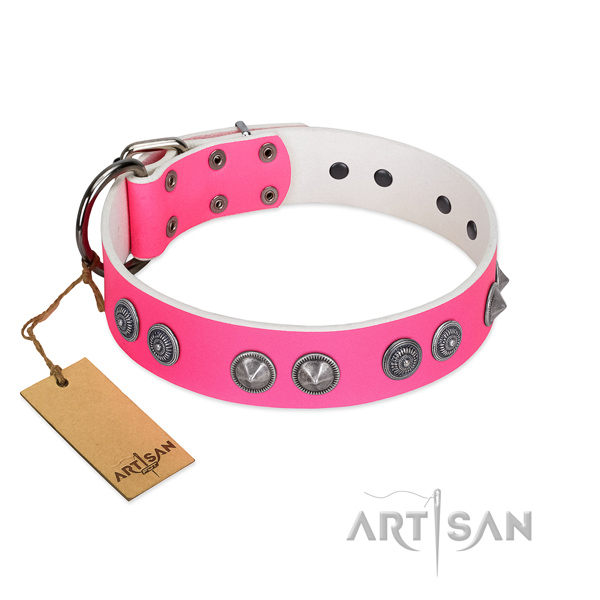 Leather dog collar with stunning embellishments for your canine