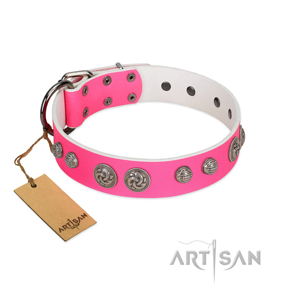 Corrosion proof adornments on full grain genuine leather dog collar for your canine