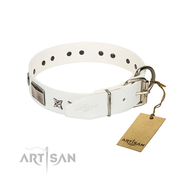 Exquisite collar of full grain leather for your stylish doggie