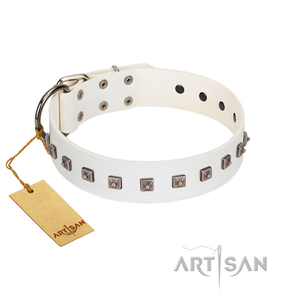 Stylish decorated natural leather dog collar