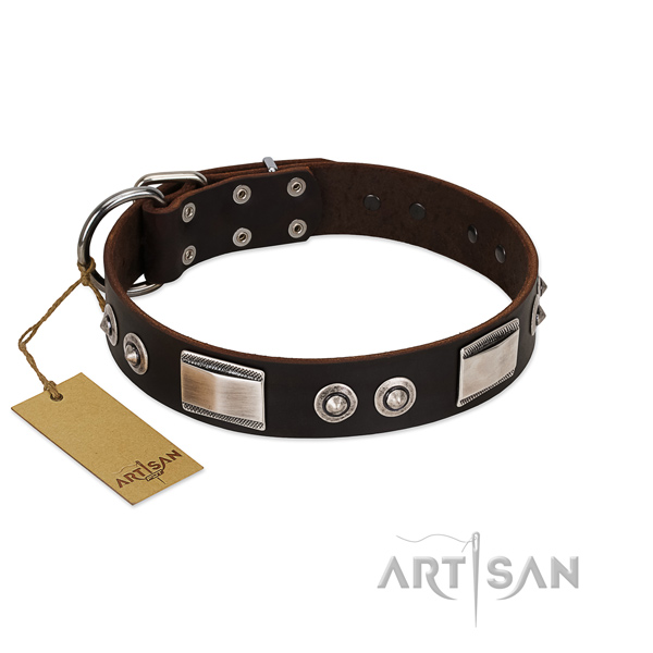 Unusual genuine leather collar with decorations for your pet