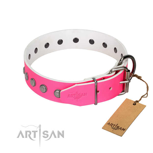 Quality leather dog collar with embellishments for your beautiful four-legged friend