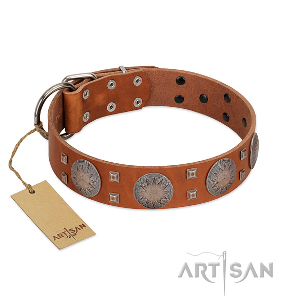 Convenient full grain genuine leather collar for your attractive four-legged friend