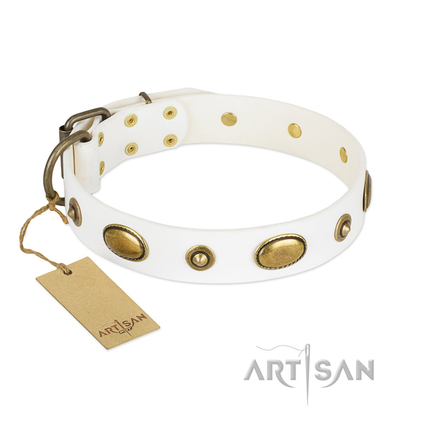 Studded full grain natural leather collar for your canine