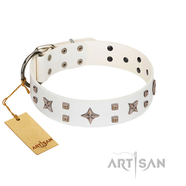Easy wearing full grain genuine leather dog collar with designer studs