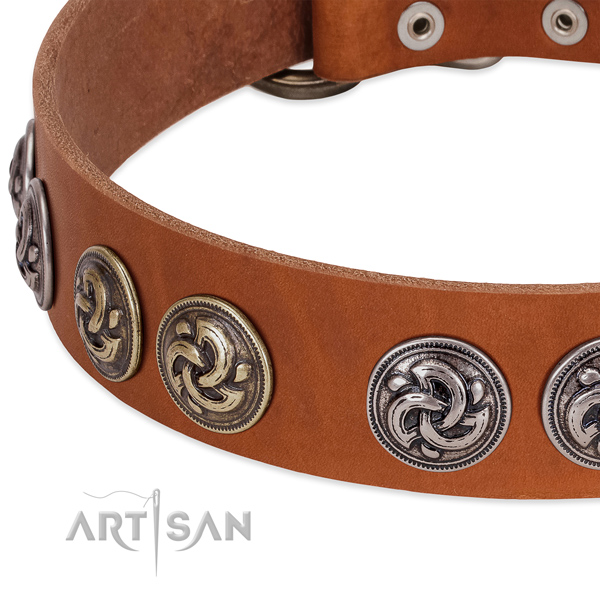Embellished full grain leather dog collar for handy use