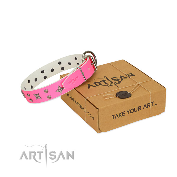 Unique adornments on full grain natural leather collar for your canine