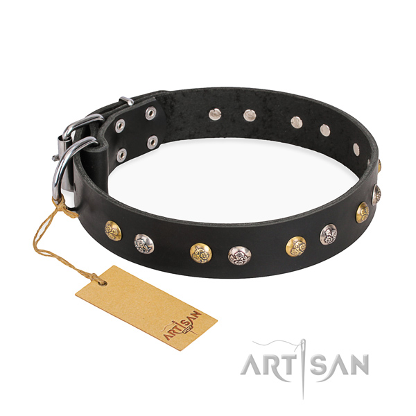 Daily use easy wearing dog collar with strong fittings