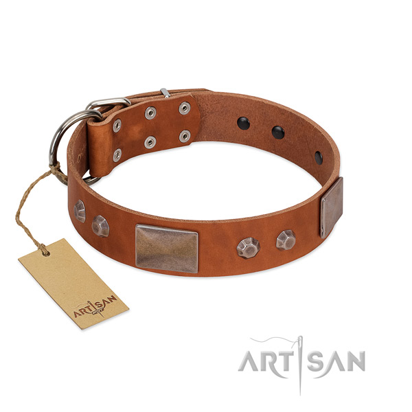 Stylish full grain leather collar for your lovely pet
