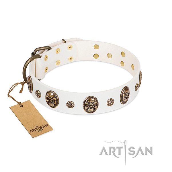 Embellished full grain natural leather collar for your doggie