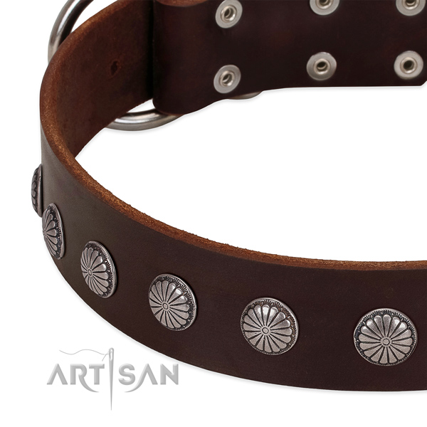 Gentle to touch leather dog collar with embellishments for everyday use