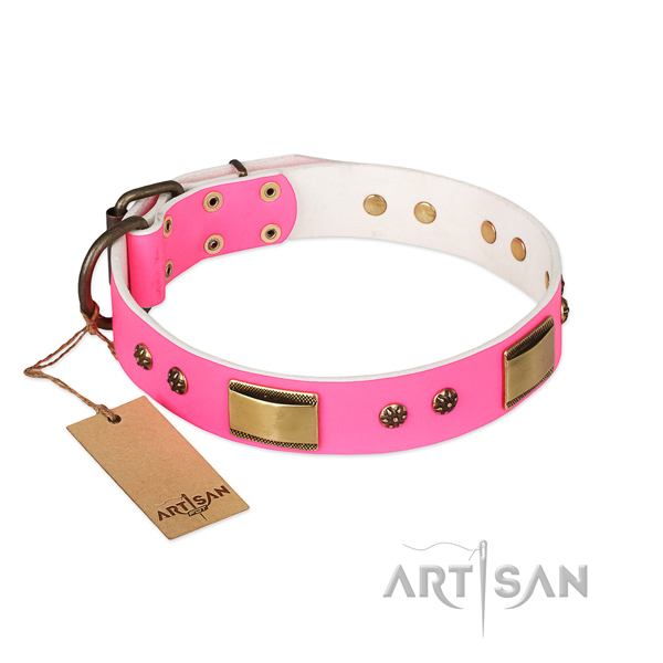 Handcrafted full grain leather collar for your four-legged friend