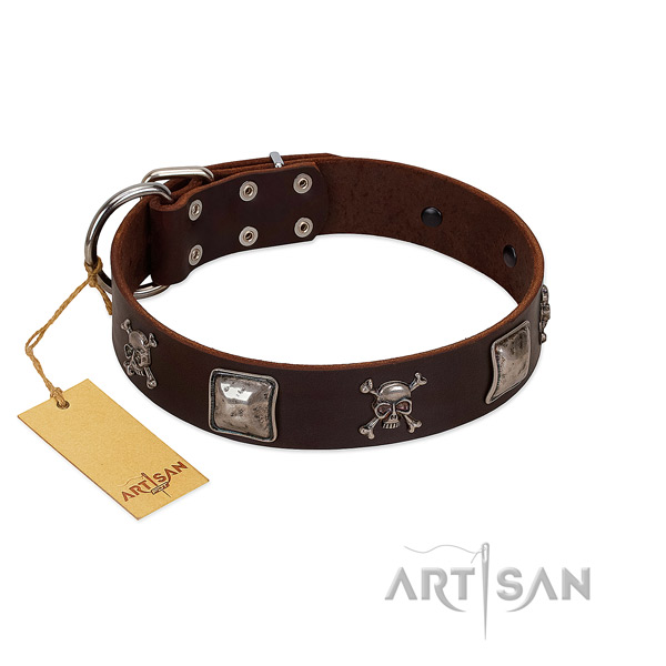 Fashionable dog collar handcrafted for your lovely canine