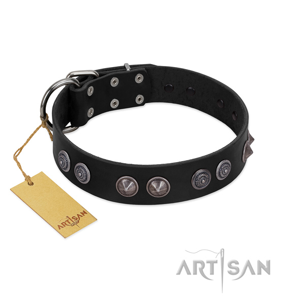 Top notch full grain leather dog collar with embellishments