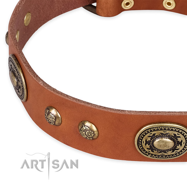 Adorned leather collar for your attractive four-legged friend
