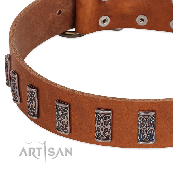 Inimitable natural leather dog collar with rust-proof buckle