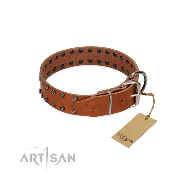 Gentle to touch full grain genuine leather dog collar with decorations for your canine