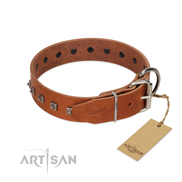 Reliable full grain natural leather dog collar with decorations for walking