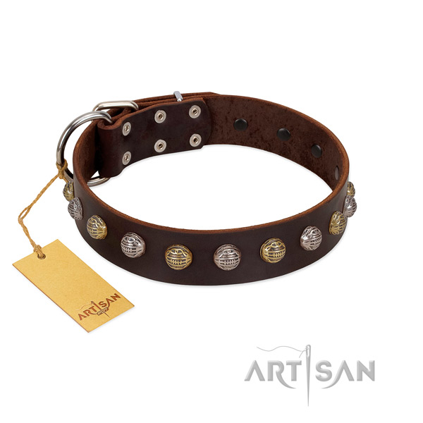 Rust-proof traditional buckle on genuine leather dog collar for walking your pet