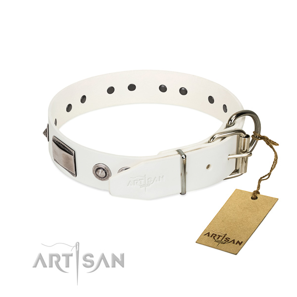 Top notch leather collar with adornments for your pet
