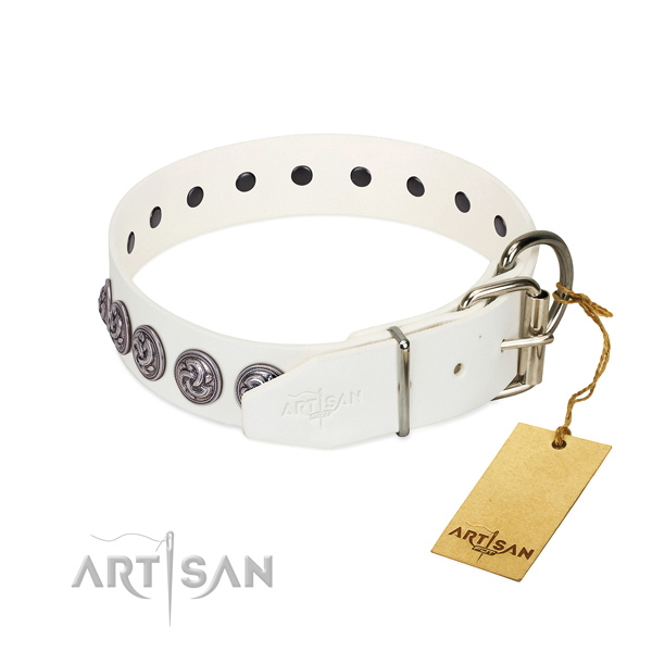 Corrosion proof D-ring on full grain leather dog collar for everyday walking your doggie