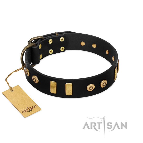 Soft to touch leather dog collar with unusual studs