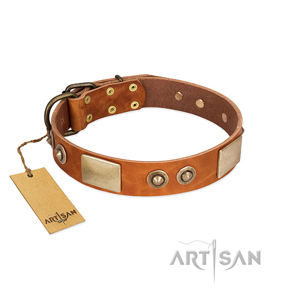Easy to adjust leather dog collar for walking your canine