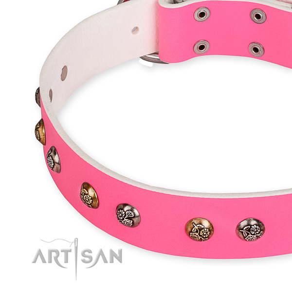 Genuine leather dog collar with extraordinary corrosion resistant studs