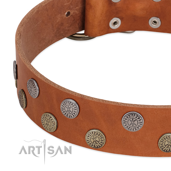Incredible natural leather collar for walking your doggie