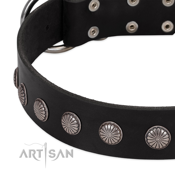 Top rate full grain genuine leather dog collar with embellishments for comfortable wearing