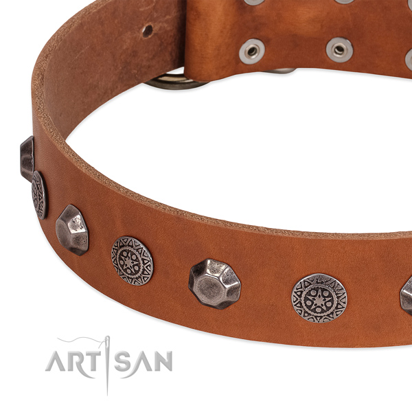 Significant full grain natural leather collar for your doggie everyday walking