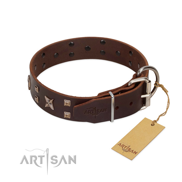 Leather dog collar with exquisite studs