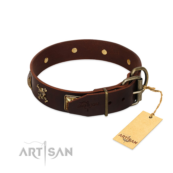 High quality leather dog collar with stylish design studs