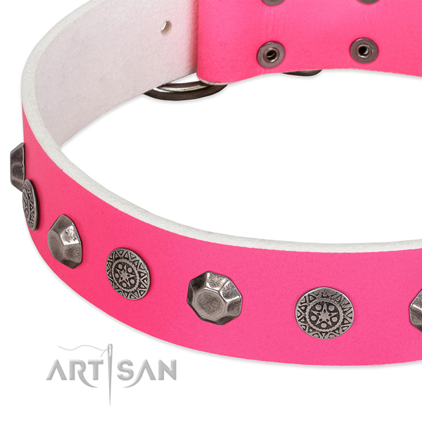 Awesome leather collar for your pet everyday walking