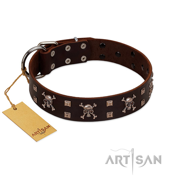 Natural leather dog collar with awesome decorations
