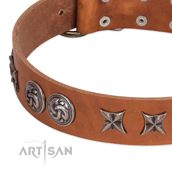 Genuine leather collar with unusual adornments for your canine