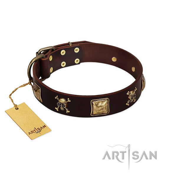 Soft full grain natural leather dog collar with stylish studs