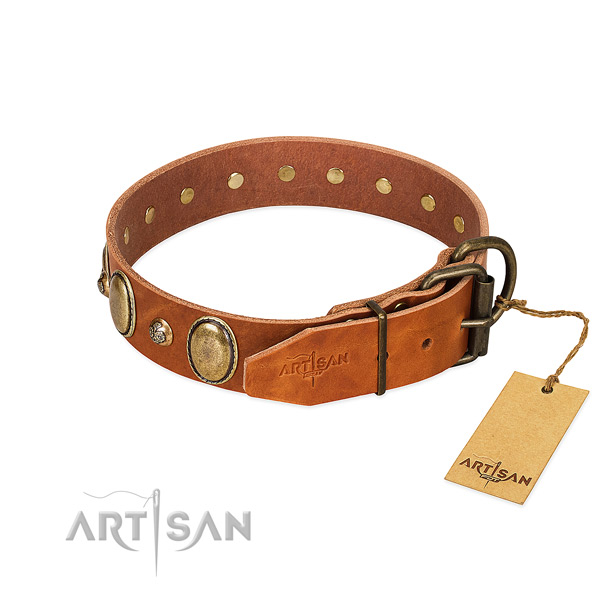 Fancy walking full grain genuine leather dog collar