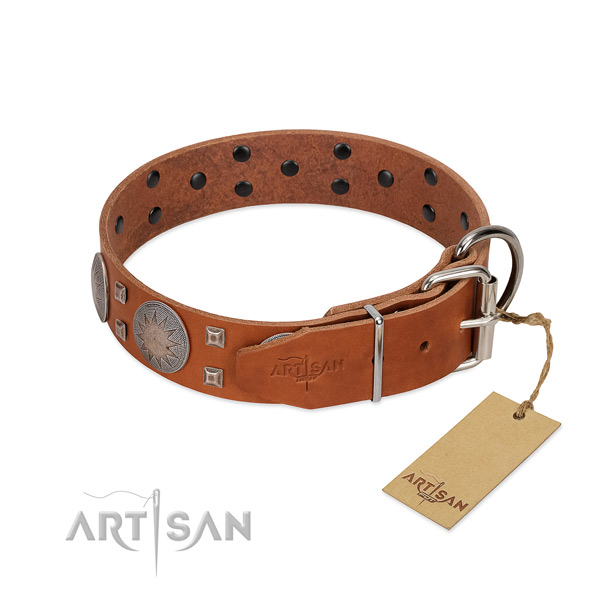 Handy use dog collar of natural leather with stylish design adornments