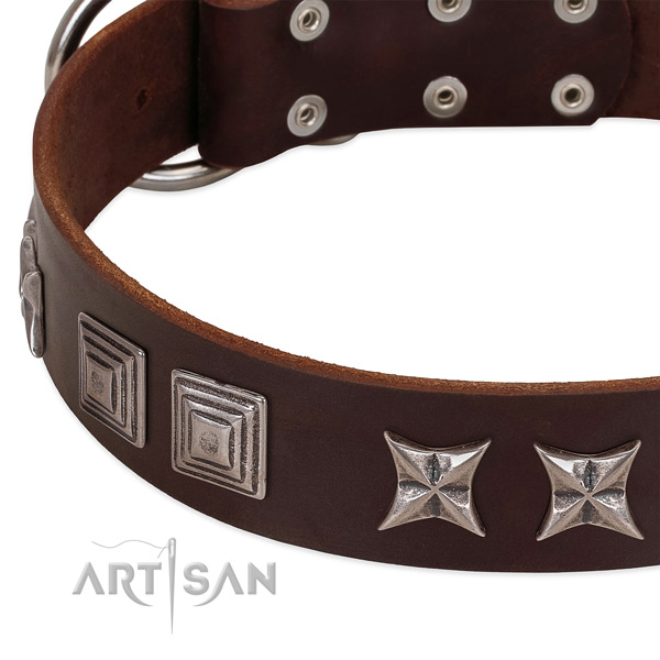 Everyday use leather dog collar with unique studs
