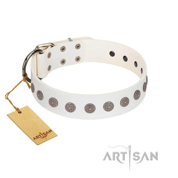 Fashionable genuine leather collar for your dog