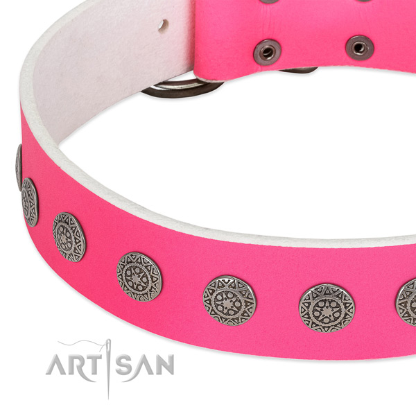 Unusual full grain leather collar with studs for your dog