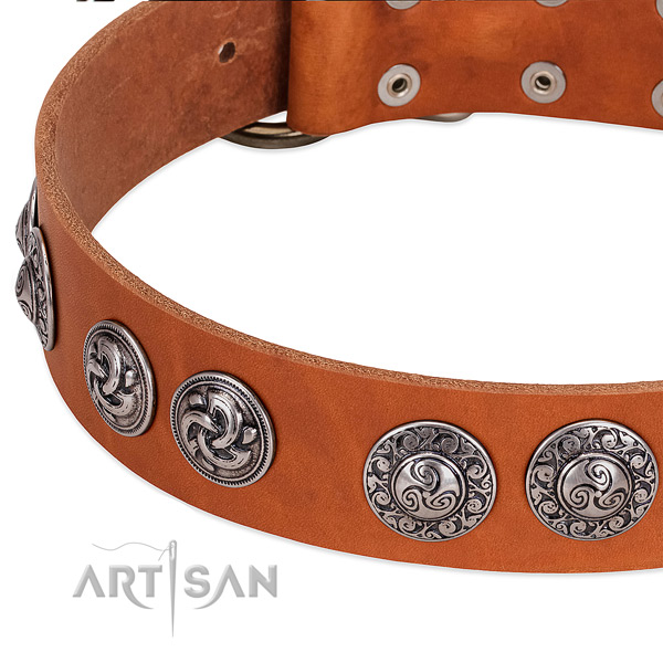 Designer full grain leather dog collar for fancy walking
