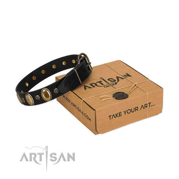 Daily walking soft to touch full grain leather dog collar with adornments