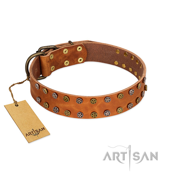 Daily walking reliable natural leather dog collar with embellishments