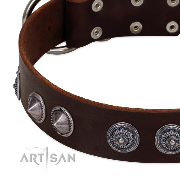 Soft leather dog collar with awesome embellishments