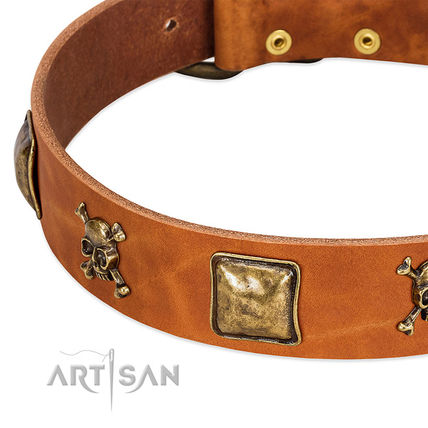 Incredible full grain natural leather dog collar with durable studs