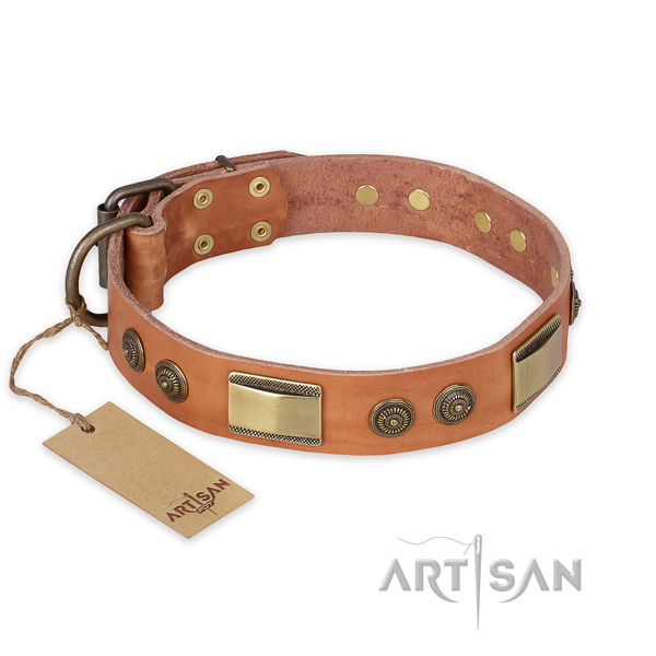 Top notch leather dog collar for daily walking