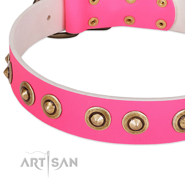 Corrosion proof adornments on leather dog collar for your four-legged friend