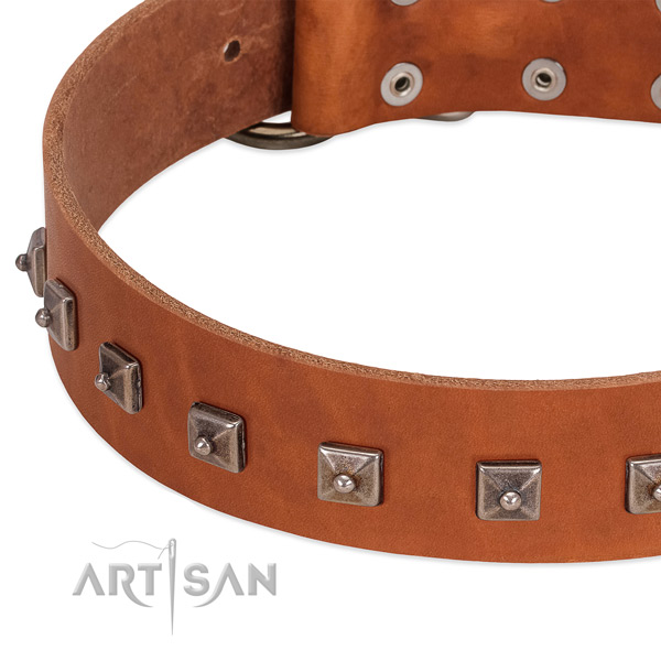 Top notch full grain leather dog collar with stunning embellishments